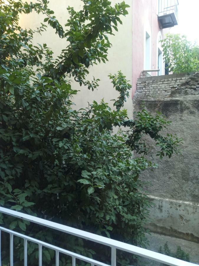New Apartment With A Separate Entrance Near The Subway. 아테네 외부 사진